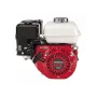 Bomba de transferencia de agua Honda WB30XT