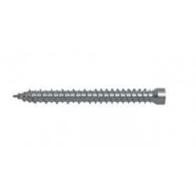 Tornillo sin cabeza Torx Fischer - FFSZ 7,5x212 - para Windows