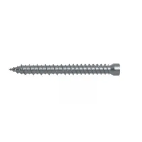 Tornillo sin cabeza Torx Fischer - FFSZ 7,5x212 - para Windows
