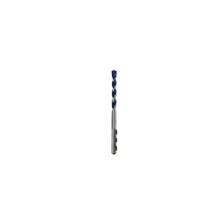 La punta de CYL BOSCH 10x250