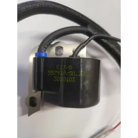 Bobina electrónica - c7-selectra - cifarelli 3010103