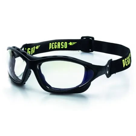 Gafas Pegasus imax pro - transparentes - polvo intenso