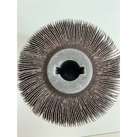 Ruota lamellare - rlf-d.100-gr.80 - rosver-f.19