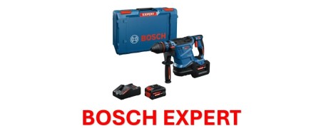 Experto en Bosch de Martelli